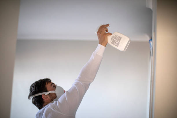 Best Mold Cleaning Services  in Cana, VA