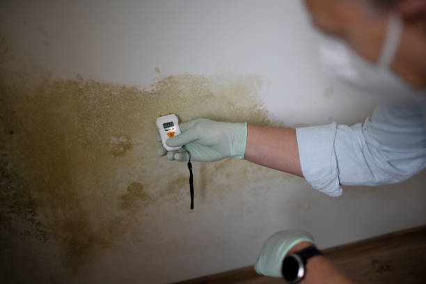 Best Mold Testing  in Cana, VA