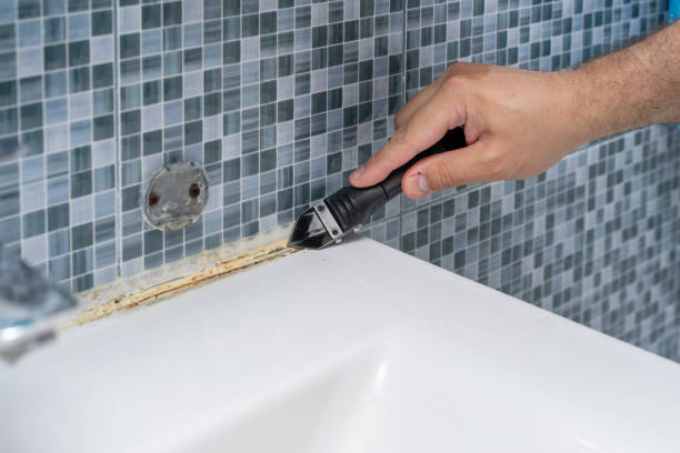 Best Mold Removal Near Me  in Cana, VA
