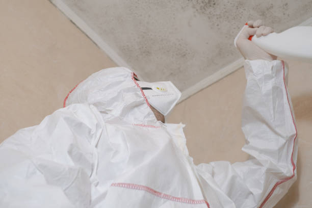 Best Mold Testing and Removal  in Cana, VA