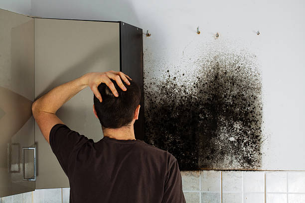 Best Mold Cleaning Services  in Cana, VA